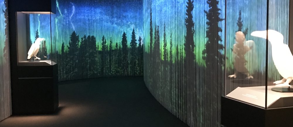 Miranda Belarde-Lewis